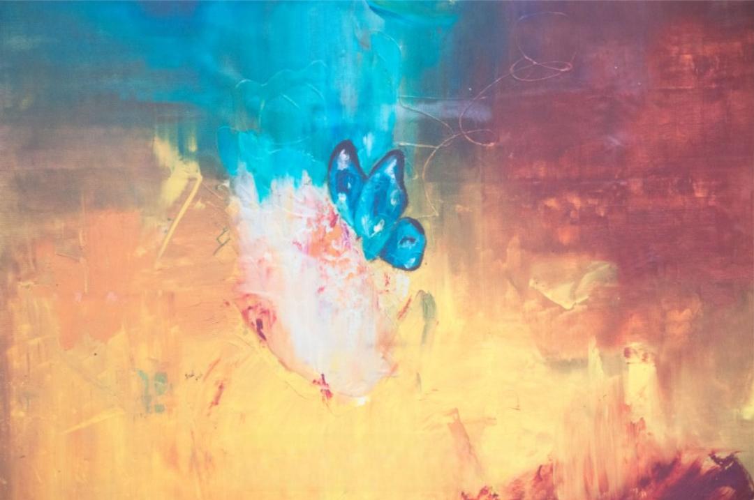 IL sogno impossibile 4