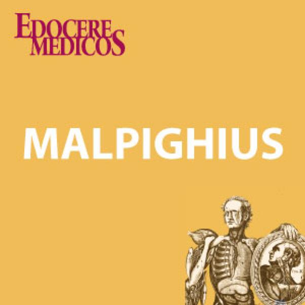 MALPIGHIUS