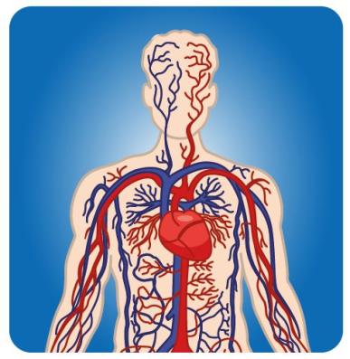 pressione arteriosa